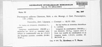 Image Associated With the Occurence